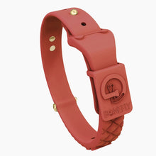 Load image into Gallery viewer, QuiltFLY Signature Spike Bones Collar