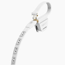 Load image into Gallery viewer, Boneflex leash