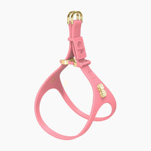 Load image into Gallery viewer, Boneflex Signature Spike Gold Harness