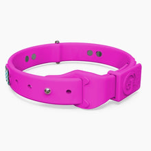 Load image into Gallery viewer, Boneflex Ultra Hot Pink Collar
