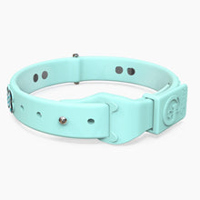 Load image into Gallery viewer, Boneflex Ultra Mint Collar