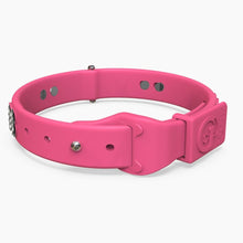 Load image into Gallery viewer, Boneflex Ultra Pink Collar