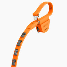 Load image into Gallery viewer, Boneflex Limited Ultra Mandarine Leash