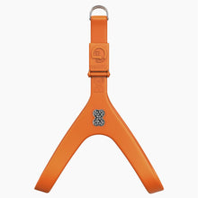 Load image into Gallery viewer, Boneflex Limited Ultra Mandarine Harness