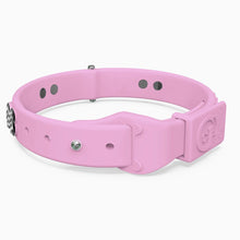 Load image into Gallery viewer, Boneflex Limited Ultra Lavender Collar