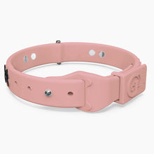 Load image into Gallery viewer, Boneflex Signature Black Bone Collar