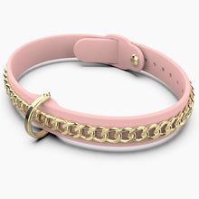 Load image into Gallery viewer, Chainfly Collar