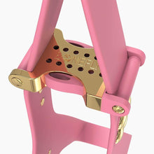 Load image into Gallery viewer, Boneflex Signature Gold Bone Harness