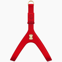 Load image into Gallery viewer, Boneflex Signature Gold Bone Harness