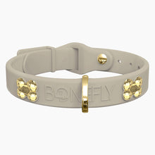 Load image into Gallery viewer, Boneflex+ Signature Gold Bones Collar