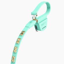 Load image into Gallery viewer, Boneflex Signature Gold Bones Leash