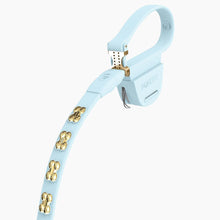 Load image into Gallery viewer, Boneflex Signature Gold Bones Leash