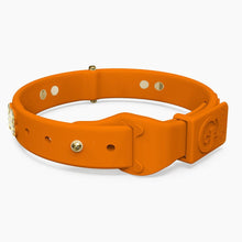 Load image into Gallery viewer, Boneflex Limited Ultra Mandarine Collar