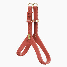 Load image into Gallery viewer, QuiltFLY Signature Silver Bones Harness