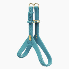 Load image into Gallery viewer, QuiltFLY Signature Gold Bones Harness