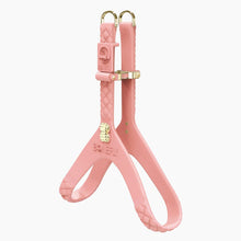 Load image into Gallery viewer, QuiltFLY Signature Spike Bones Harness