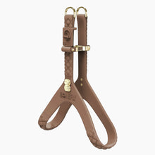 Load image into Gallery viewer, QuiltFLY Signature Spike Bones Harness