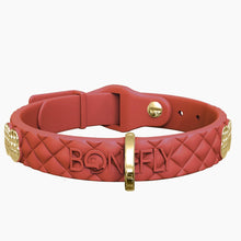 Load image into Gallery viewer, QuiltFLY Signature Spike Bones Collar