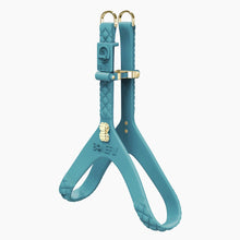 Load image into Gallery viewer, QuiltFLY Signature Spike Bones Harness