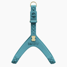 Load image into Gallery viewer, QuiltFLY Signature Spike Bones Harness