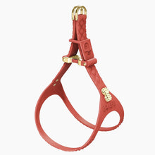 Load image into Gallery viewer, QuiltFLY Signature Spike Bones Harness