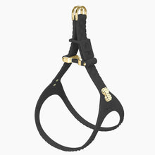 Load image into Gallery viewer, QuiltFLY Signature Spike Bones Harness