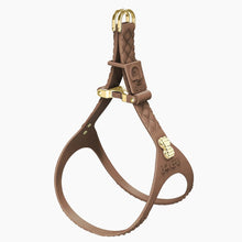 Load image into Gallery viewer, QuiltFLY Signature Spike Bones Harness