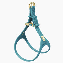 Load image into Gallery viewer, QuiltFLY Signature Spike Bones Harness