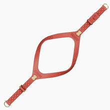 Load image into Gallery viewer, QuiltFLY Signature Spike Bones Harness