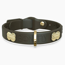 Load image into Gallery viewer, Boneflex Signature Spike Gold Collar