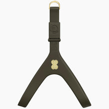 Load image into Gallery viewer, Boneflex Signature Spike Gold Harness