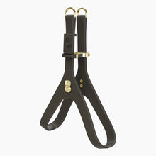 Load image into Gallery viewer, Boneflex Signature Spike Gold Harness