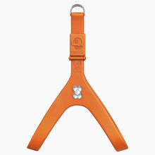 Load image into Gallery viewer, Boneflex Limited Silver Bone Harness