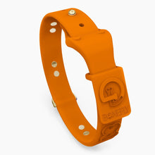 Load image into Gallery viewer, Boneflex Limited Collars