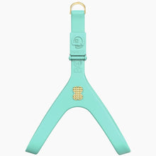 Load image into Gallery viewer, Boneflex Signature Spike Gold Harness