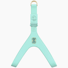 Load image into Gallery viewer, Boneflex Ultra Mint Harness