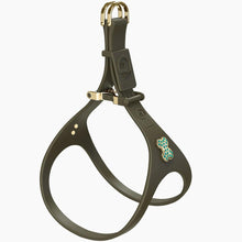 Load image into Gallery viewer, Boneflex Ultra Graphite Harness