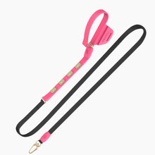 Load image into Gallery viewer, Boneflex Signature Spike Gold Leash