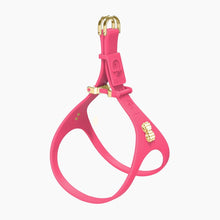 Load image into Gallery viewer, Boneflex Signature Spike Gold Harness