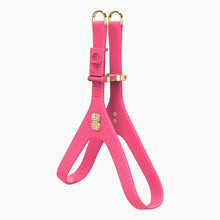 Load image into Gallery viewer, Boneflex Signature Spike Gold Harness