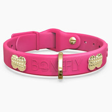 Load image into Gallery viewer, Boneflex Signature Spike Gold Collar