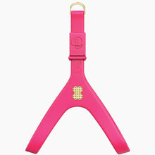 Load image into Gallery viewer, Boneflex Signature Spike Gold Harness