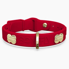 Load image into Gallery viewer, Boneflex Signature Spike Gold Collar