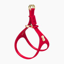 Load image into Gallery viewer, Boneflex Signature Spike Gold Harness