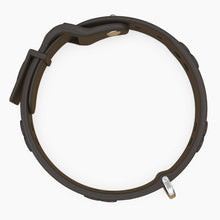 Load image into Gallery viewer, Boneflex Signature Spike Silver Collar