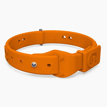 Load image into Gallery viewer, Boneflex Limited Collars
