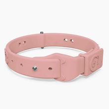 Load image into Gallery viewer, Boneflex Limited Collars