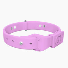 Load image into Gallery viewer, Boneflex+ Ultra Lavender Collar