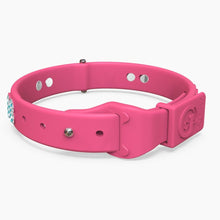 Load image into Gallery viewer, Boneflex Ultra Pink Collar