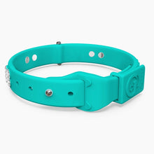 Load image into Gallery viewer, Boneflex Ultra Teal Collar
